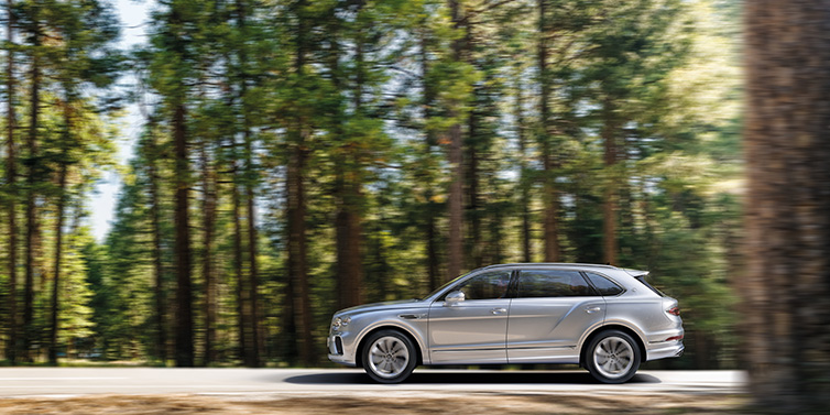 Bentley Gold Coast (Australia) Bentley Bentayga Extended Wheelbase SUV in Moonbeam paint driving dynamically on a forest road